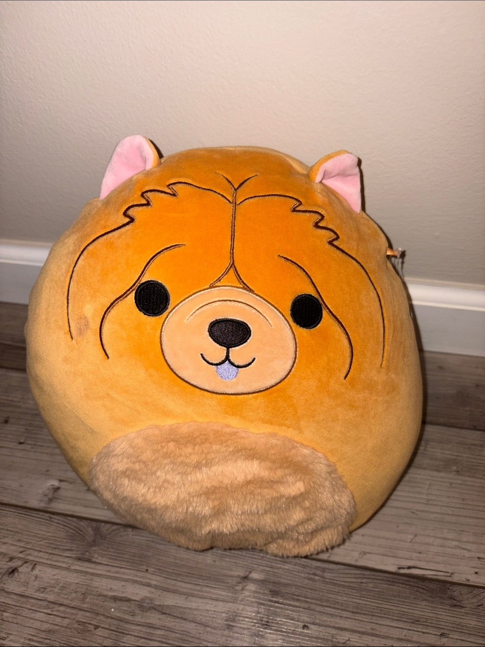 The original Squishmallows Sandro chow chow
